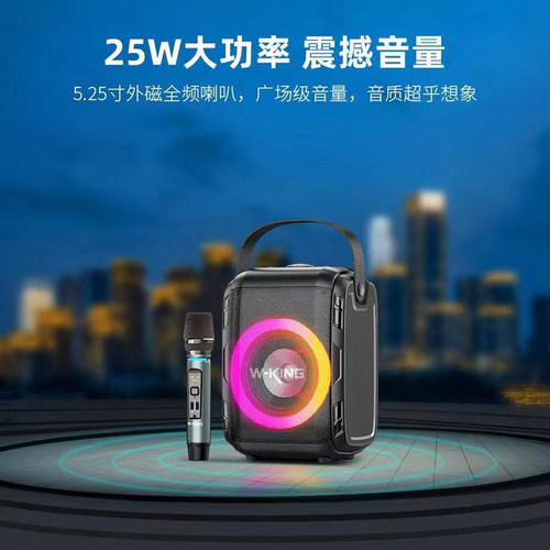 维尔晶T9S户外便携式K歌蓝牙音箱