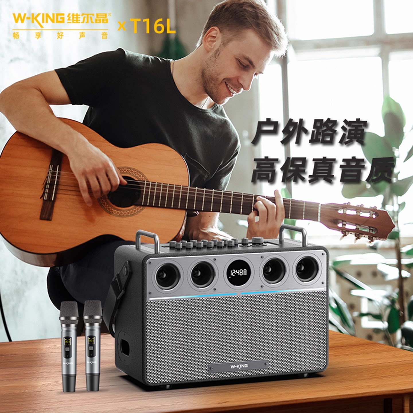 维尔晶 T16L户外K歌音箱160W大功率大声场吉他乐器演奏蓝牙音响新