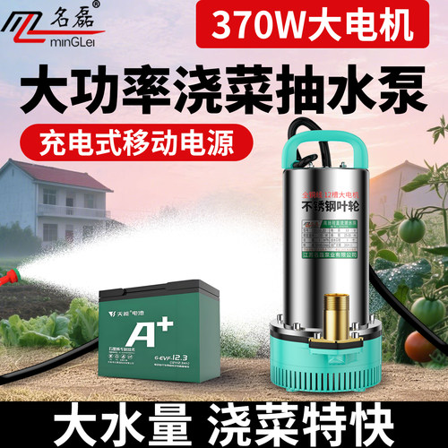 【充电式】大功率浇菜抽水泵