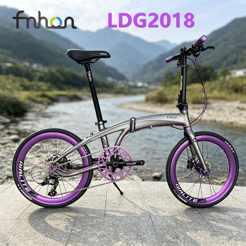 fnhon风行20寸铝合金水滴前叉海豚架LDG2018碟刹折叠车油碟消光灰