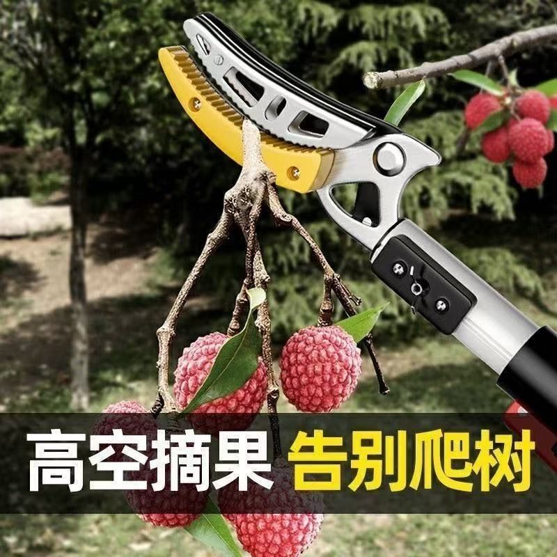 伸缩高枝摘果剪修枝两用图片