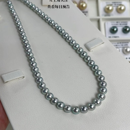 6.5-7mm真科研超级蓝玫瑰（国内首家）