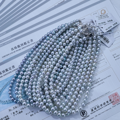 9月3日上新7-9mm真科研极光Blue Rose P