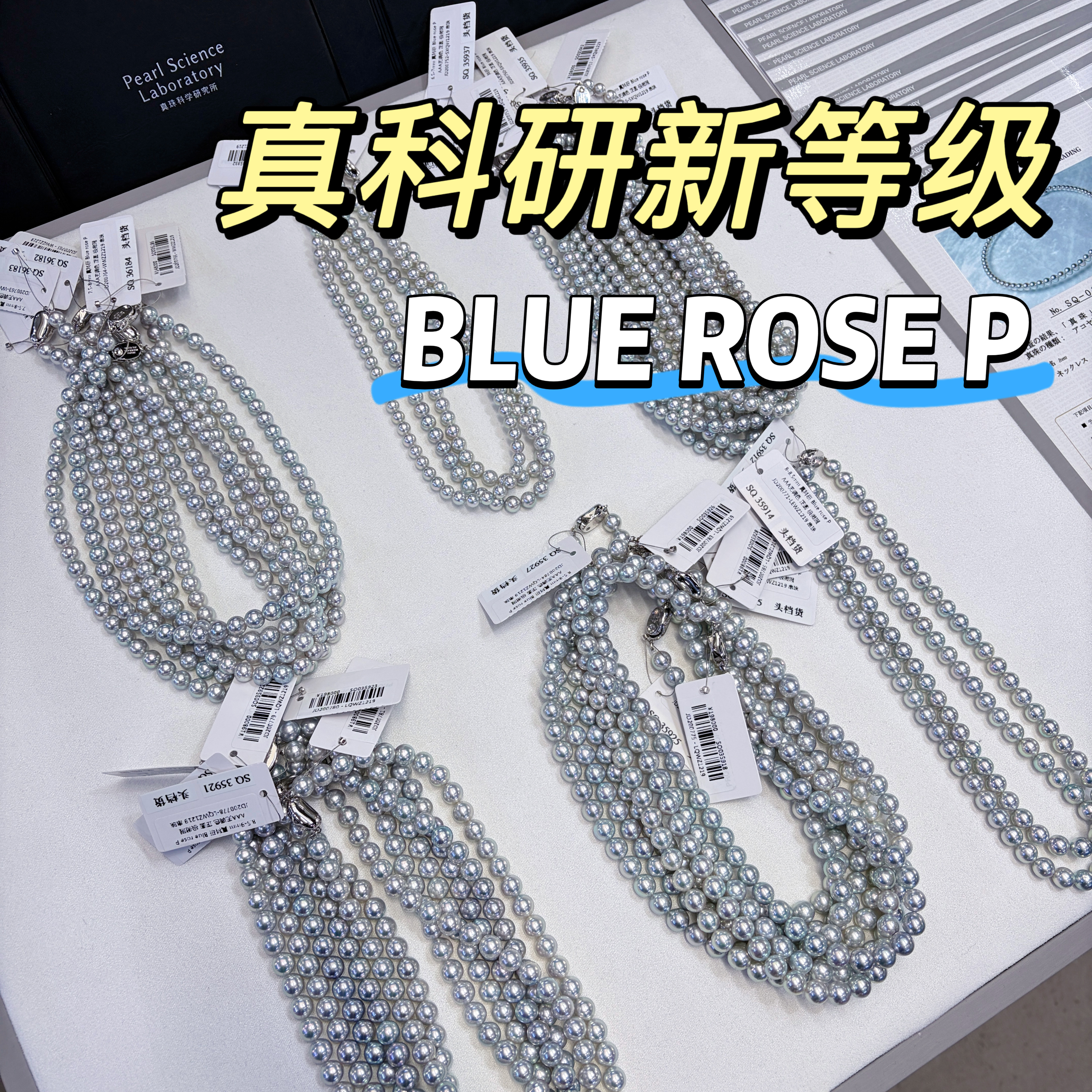 国内首发新品真科研大证BLUE ROSE P超级蓝玫瑰真多麻珍珠项链,珠宝/钻石/翡翠,颈饰,淘宝优惠券,粉丝福利购,淘宝优惠卷