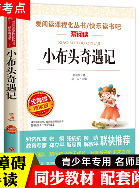 小布头奇遇记 正版书 孙幼军著 儿童文学名家经典书系 9-12岁小学生课外阅读书籍三四五六年级书目