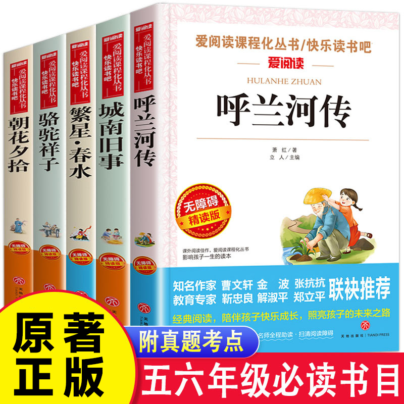 城南旧事原著正版林海音 呼兰河传萧红著繁星春水 冰心 小学生五年级六年级必读课外书推荐老师下册阅读适合看的语文书籍小学书目 书籍/杂志/报纸 儿童文学 原图主图