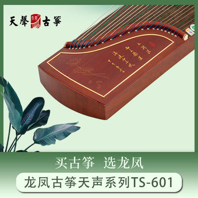 TS-601红木古筝尼龙钢丝弦考级