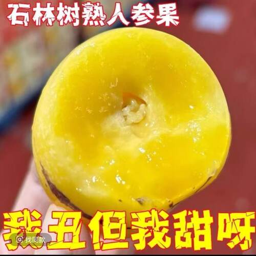 云南正季人生果圆果黄肉