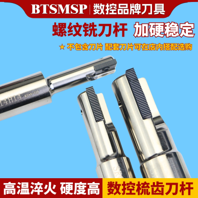 内外螺纹单刃刀杆BTSMSP
