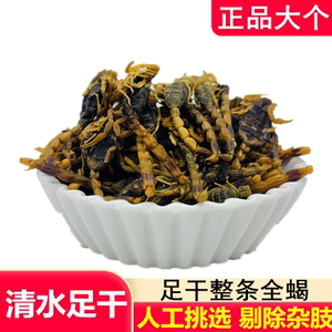 大个全蝎全虫整条中药材蝎子干清水无盐足干100克包邮另有蜈蚣