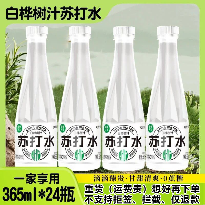愉果先生白桦树汁苏打水365ml*24