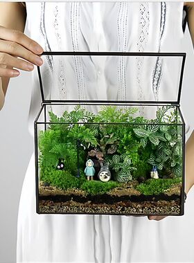 多肉玻璃花瓶玻璃微器皿欧美容器