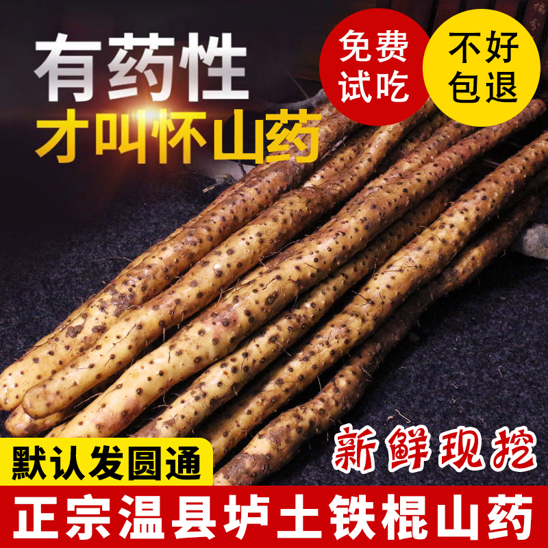 铁棍山药新鲜5斤整箱河南温县