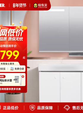 科勒浴室柜组合亲悦落地式卫生间洗漱台现代简约洗手洗脸盆22818T