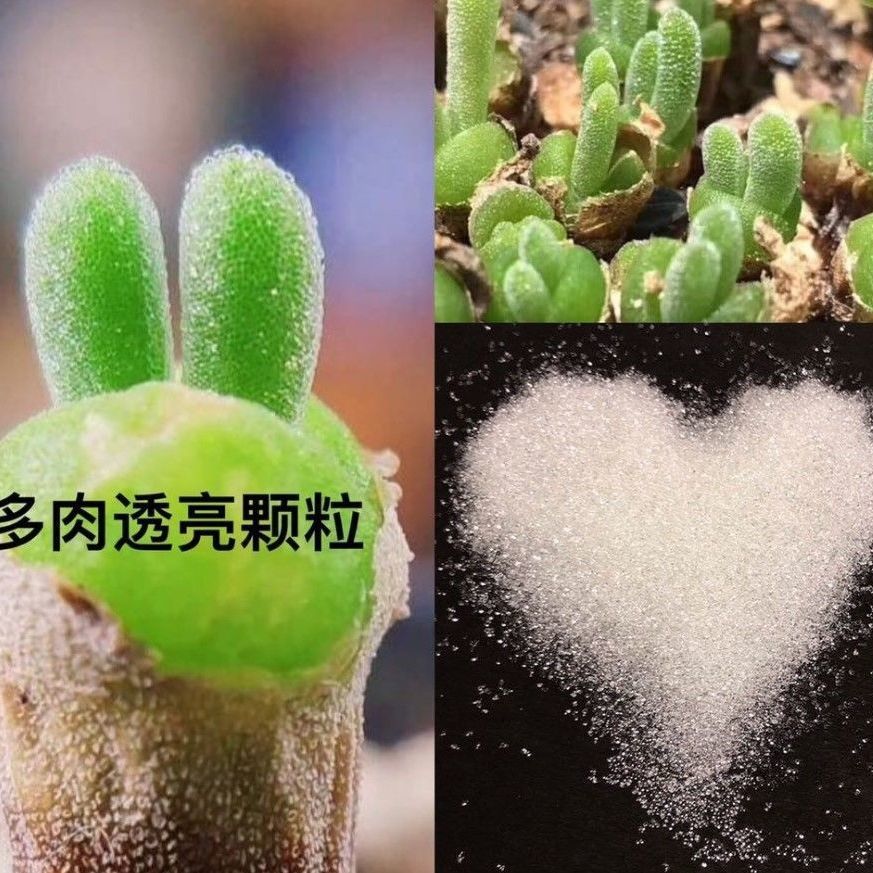 树脂粘土仿真多肉配件碧光环晶莹模型制作工具/辅料耗