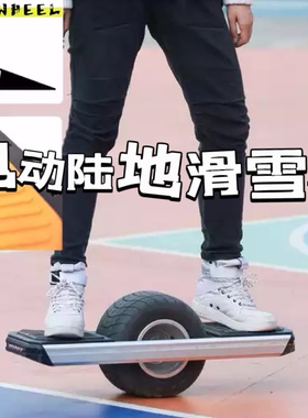 funkywheel放克板 magwheel电动独轮车T1陆地滑雪板非onewheel