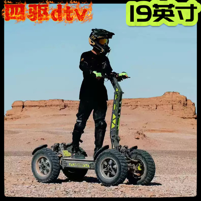 langfeite19英寸dtv高性能四驱电动滑板车LANGFEITE