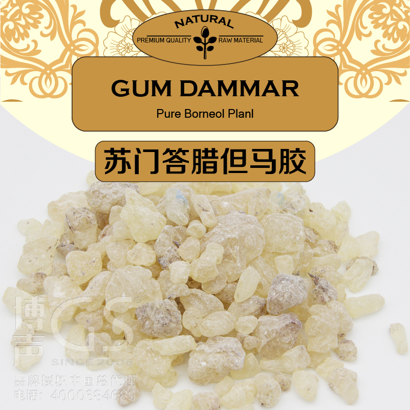 优质树脂原装进口苏门答腊但马胶