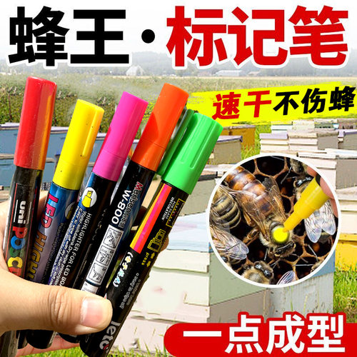 蜂王标记笔出口型防水速干不掉色