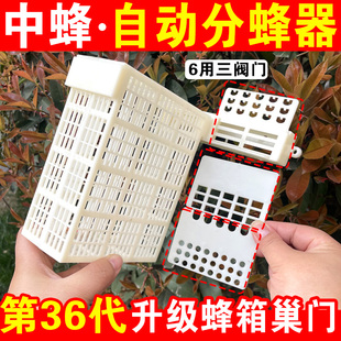 新款自动分蜂器雄蜂分离器蜂王过滤器36代分蜂防逃框中蜂箱蜜蜂笼
