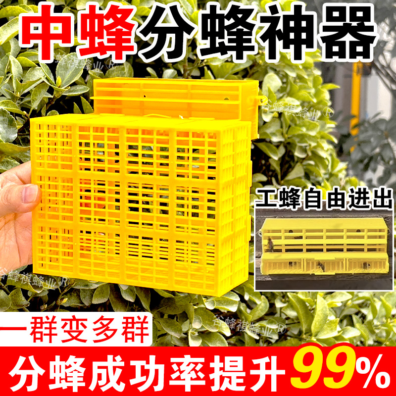 中蜂自动分蜂器收王器除雄蜂