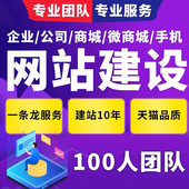 网站建设制作网页设计企业官网搭建定制开发模板建站一条龙服务