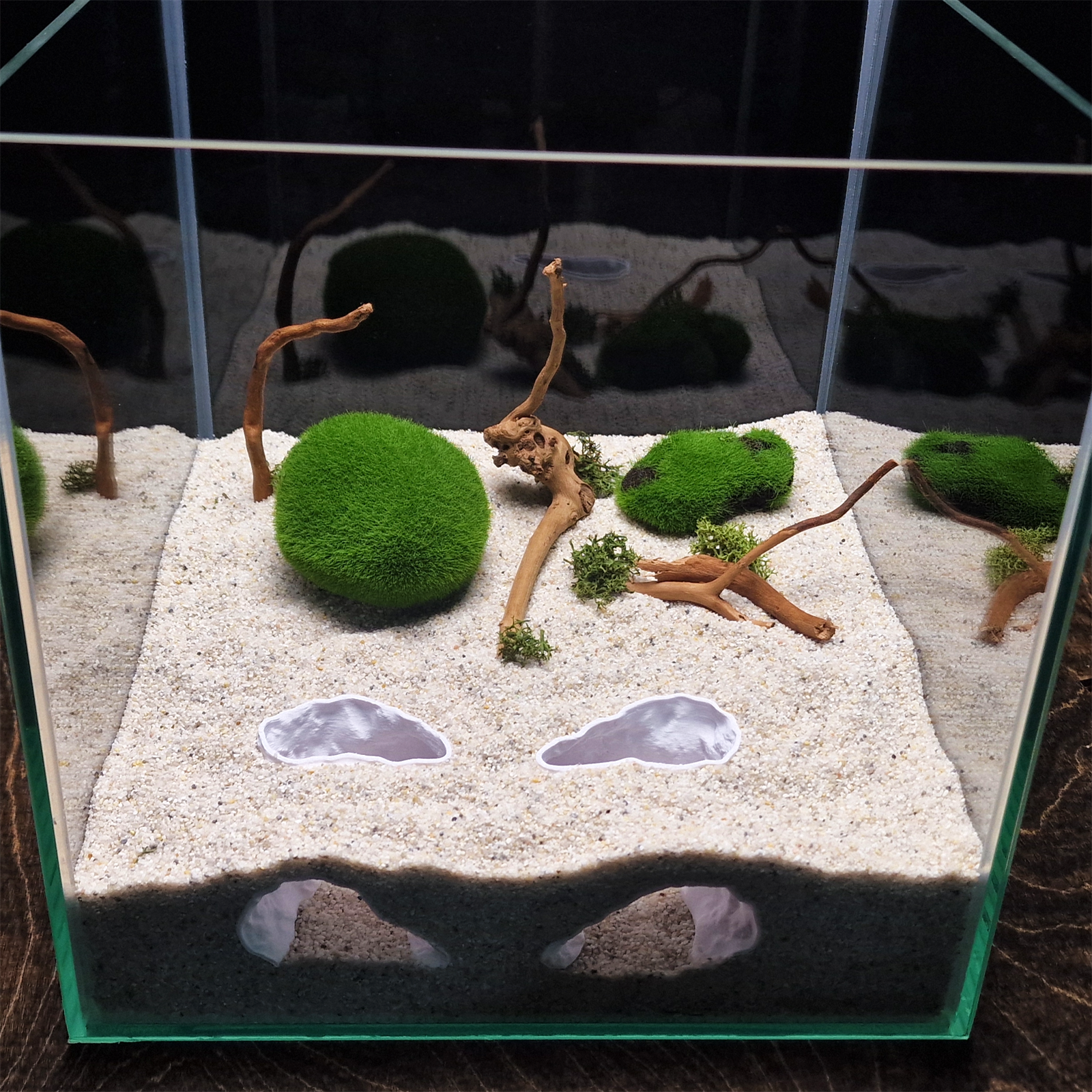 鱼缸双眼水底观察洞口洞穴底沙造景装饰摆件小鱼虾蟹躲避屋繁殖屋,宠物/宠物食品及用品,造景/装饰,淘宝优惠券,粉丝福利购,淘宝优惠卷