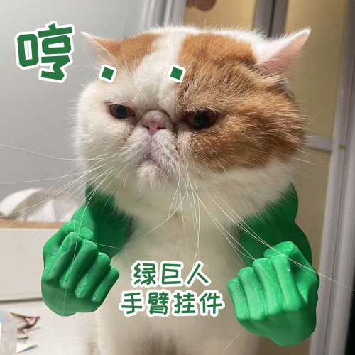 恶搞猫挂脖浩克手臂3D打印