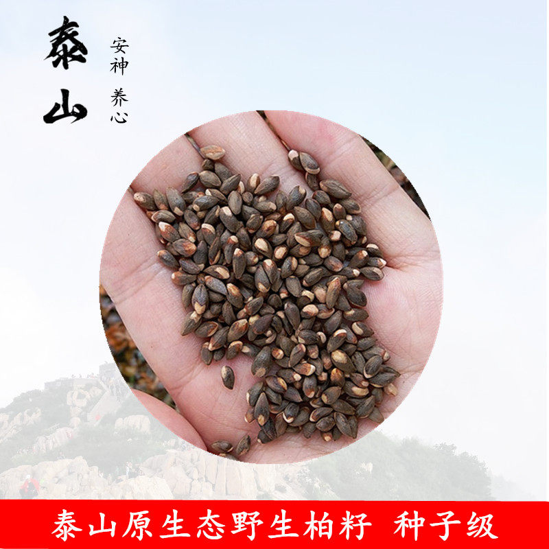 柏益思野生柏籽天然干净
