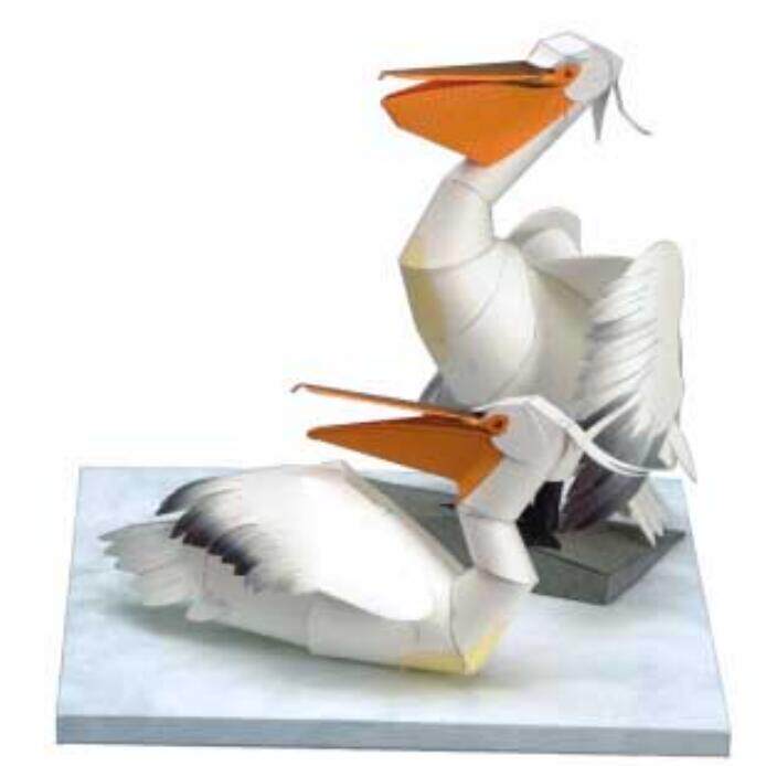 儿童手工折纸diy拼装益智玩具立体3d纸质模型动物制作仿真鸟鹈鹕