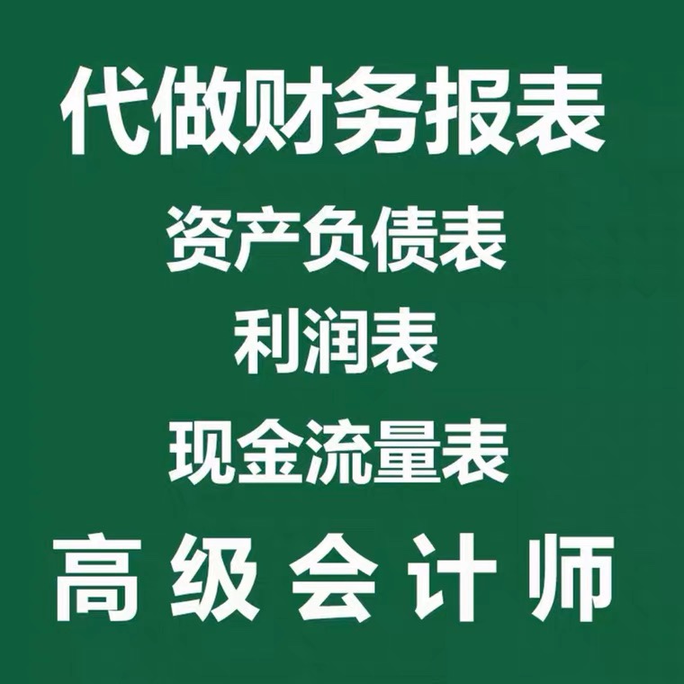 代做财务报表附注资产负债表利润其它设计服务