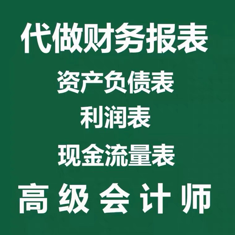 代做财务报表附注资产负债表利润表现金流量表银行贷款招投标用