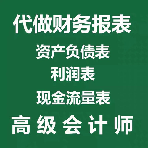 代做财务报表附注资产负债表利润表现金流量表银行贷款招投标用