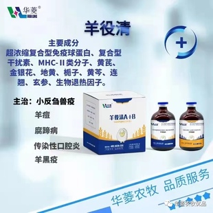 羊役清（A+B）羊小反刍兽疫传染性口疮肠毒血羊快疫羊黑疫羊猝狙