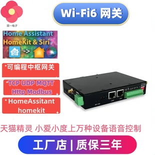 WiFi6网关HomeAssistant盒子米家涂鸦ha智能家居zigbee网关可编程