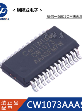 CW1073AAAS 贴片SSOP24 CW1073原装正品电池保护管理芯片