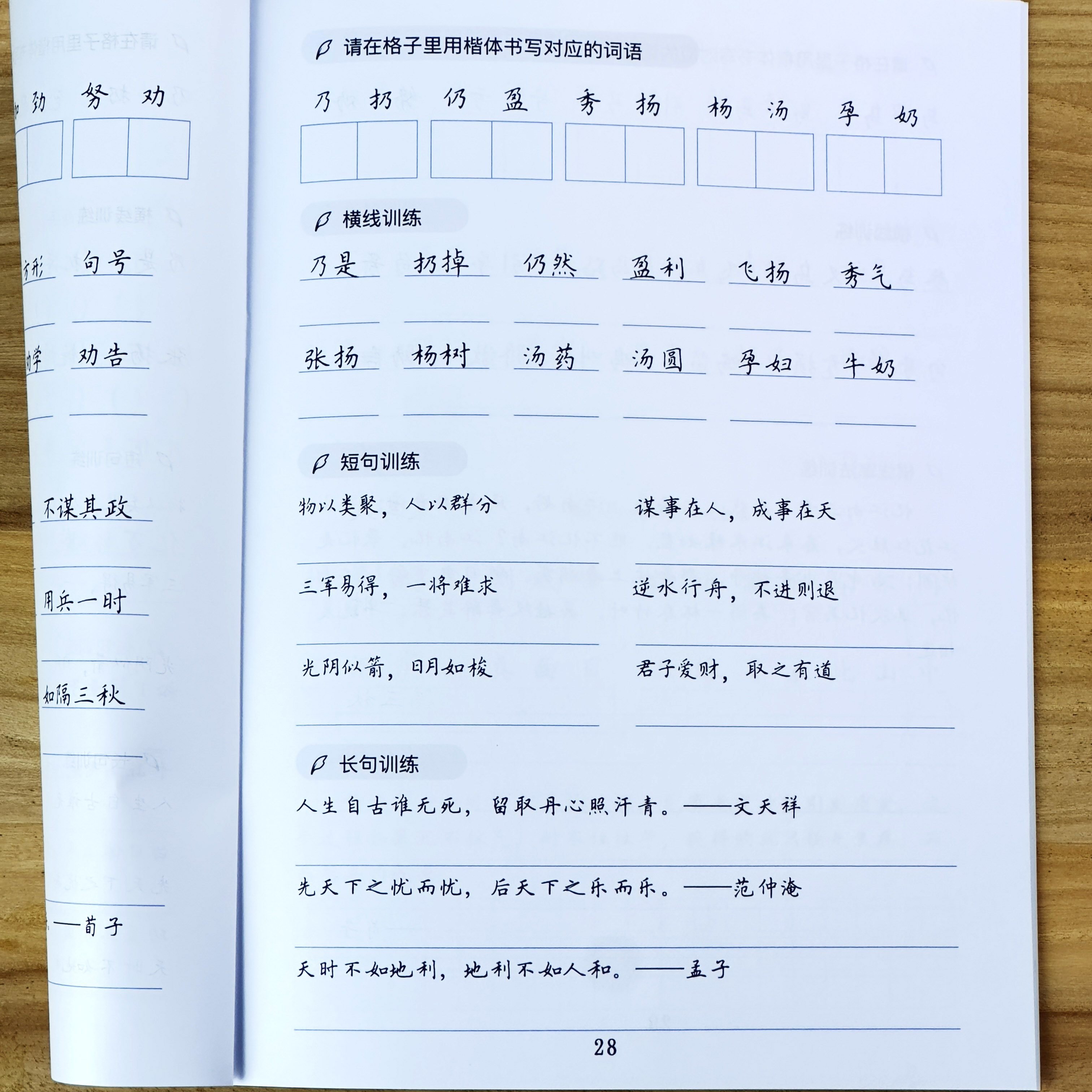 小学语文考试卷面训练习字帖田字格方格横线方格作文格硬笔练字