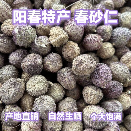阳春特产春砂果养胃广东省