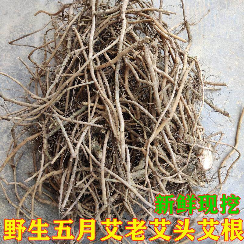 新鲜天然艾草根五月艾老艾头老艾草根艾根500克纯根端午艾
