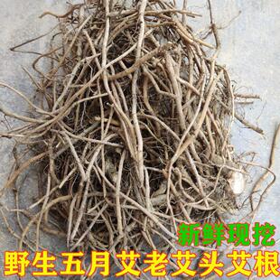 新鲜天然艾草根五月艾老艾头老艾草根艾根500克纯根端午艾