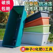 楼顶种菜专用箱塑料箱种菜神器蔬菜种植箱种多肉种草莓绿植专用箱