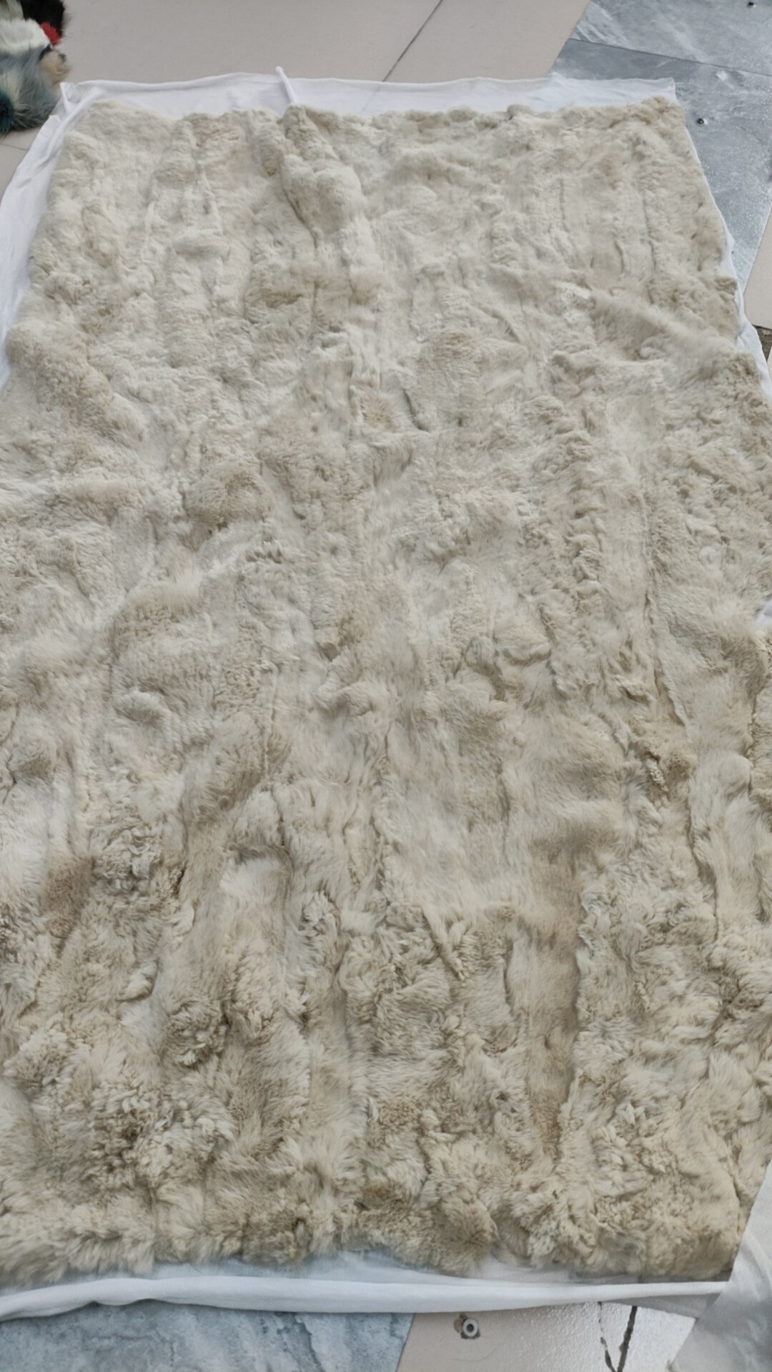 米白獭兔毛凹凸设计感皮草褥子毯子服装服饰围巾抱枕垫被子原材料