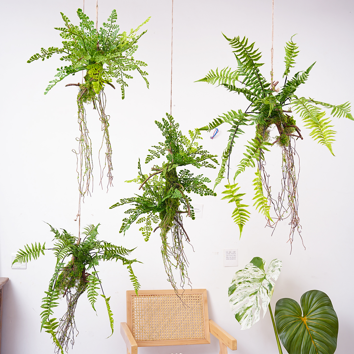 仿真蕨类植物吊挂装饰绿植造景