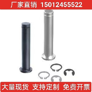 肩扣环固定型铰链销怡和达