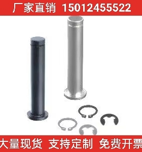 肩扣环固定型铰链销MIC14/MIC13/MIC12/MIC01/MIC02/MIC06