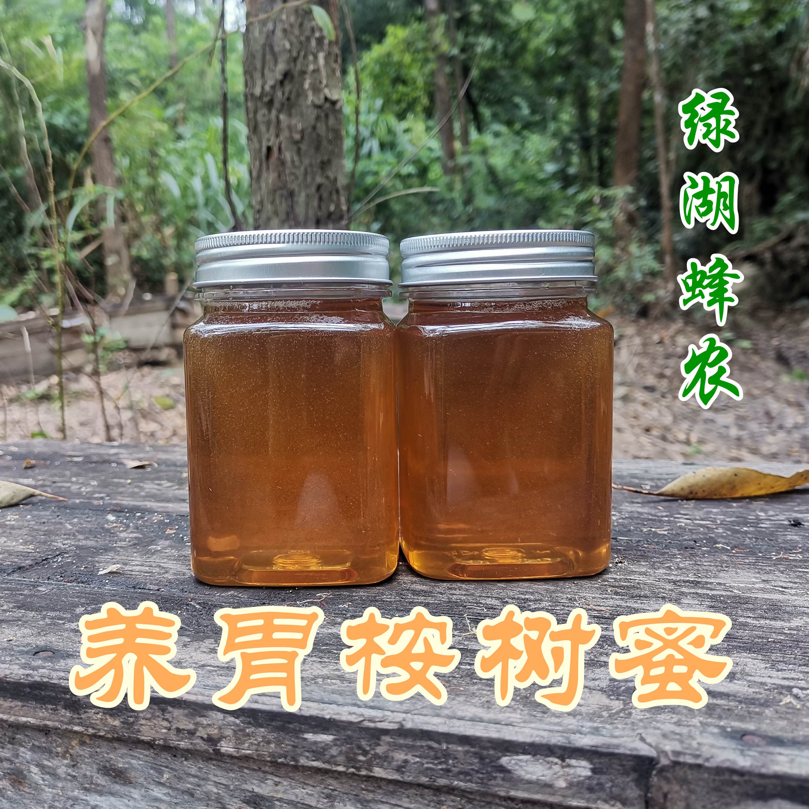 【买3送1】绿湖蜂农养胃桉树蜜