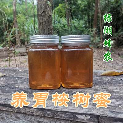 绿湖蜂农广州桉树蜜秋蜜养胃