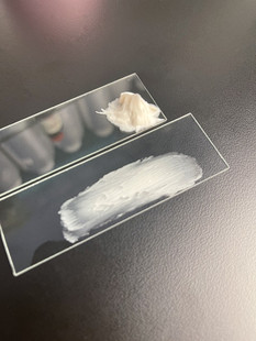 25%溶液浓度 波色因 仿绷带质地 50g 依克多因 精华霜