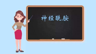 神经酰胺复yuan精华35ml 补水抗shuai修fu 还你本真健康角质