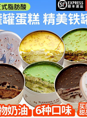 铁盒罐子蛋糕动物奶油千层甜品巧克力抹茶奥li奥送人慕斯盒子零食